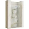 Porta Doccia Rea Hugo 100 Gold Brush + Profilo